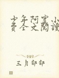 少年阿宾小说免费全文阅读