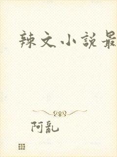 辣文小说最新