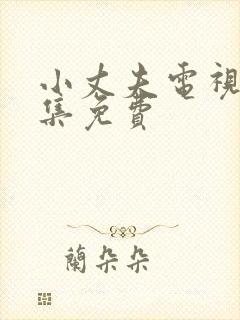 小丈夫电视剧全集免费