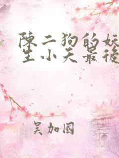 陈二狗的妖孽人生小夭最后怎么了