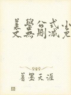 美学公式小说全文无删减免费阅读