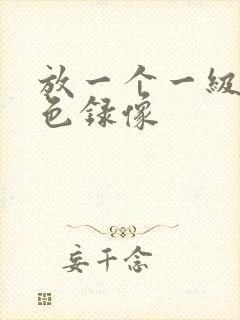 放一个一级的黄色录像