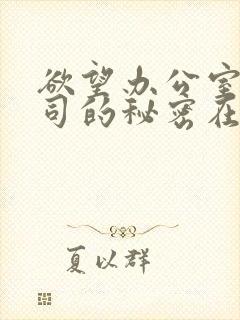 欲望办公室女上司的秘密在线观看