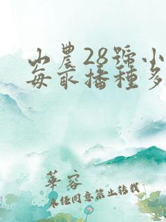 山农28号小麦每亩播种多少