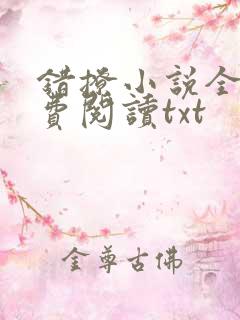错撩小说全文免费阅读txt