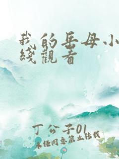 我的岳母小说在线观看