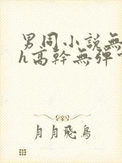男同小说无删减h高干无弹窗在线阅读
