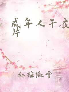 成年人午夜激情片