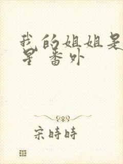 我的姐姐是大明星 番外