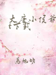 大唐小侯爷txt下载