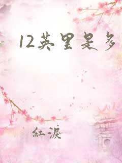 12英里是多少