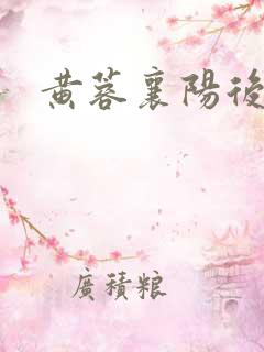 黄蓉襄阳后转