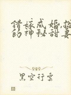 错嫁成婚,总裁的神秘甜妻