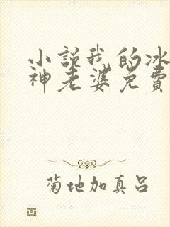 小说我的冰山女神老婆免费阅读