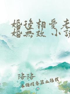 婚后相爱老婆离婚无效 小说