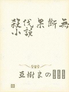 杀伐果断无女主小说