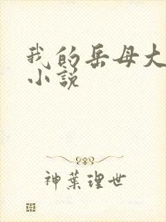 我的岳母大人,小说