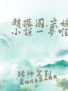 赵振国,宋婉清小说一梦唯一