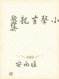 盘龙有声小说全集