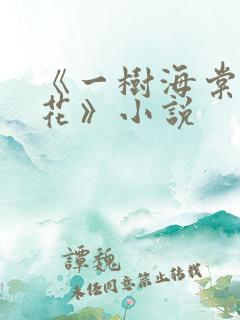 《一树海棠压梨花》小说