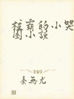 校霸的小哭包校园小说