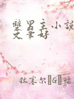 双男主小说推荐文笔好