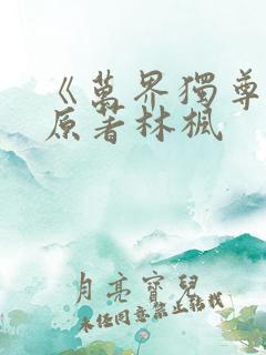 《万界独尊》 原著林枫