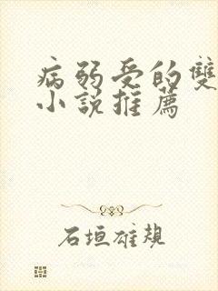病弱受的双男主小说推荐