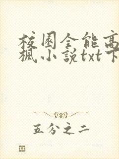 校园全能高手季枫小说txt下载完整版