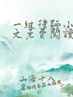 一级律师小说全文免费阅读