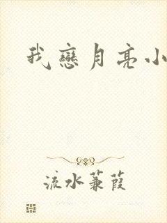 我恋月亮小说