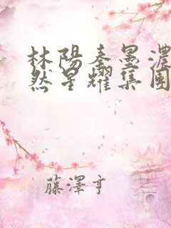 林阳秦墨浓秦嫣然星耀集团