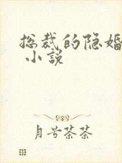 总裁的隐婚罪妻 小说