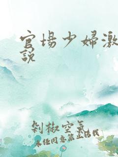 官场少妇激情小说