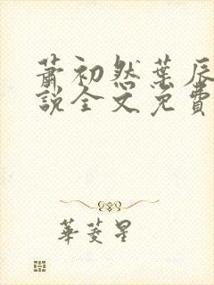 萧初然叶辰的小说全文免费阅读1006