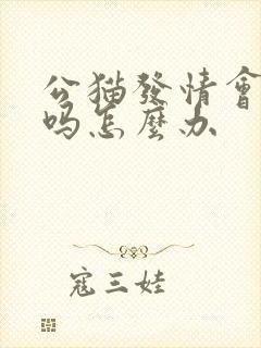 公猫发情会乱尿吗怎么办