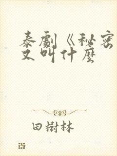 泰剧《秘密爱》又叫什么