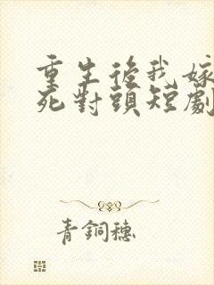 重生后我嫁给了死对头短剧