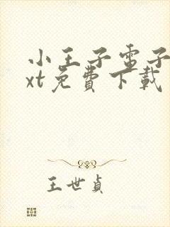 小王子电子书txt免费下载