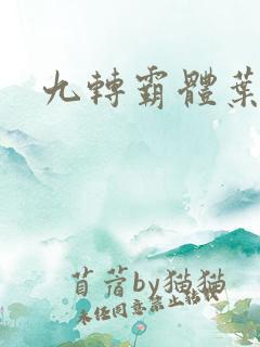九转霸体叶洛