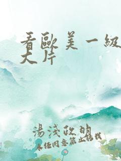 看欧美一级特黄大片