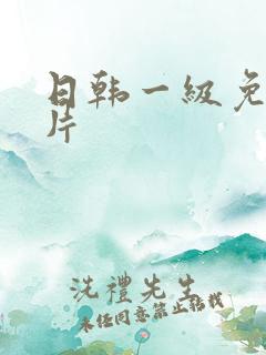 日韩一级免费淫片