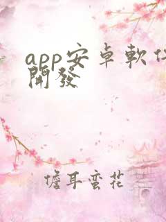 app安卓软件开发