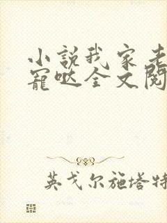 小说我家老公超宠哒全文阅读