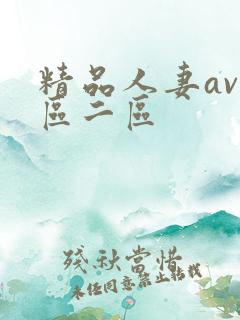 精品人妻av一区二区