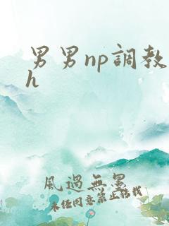 男男np调教高h