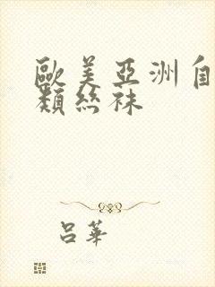 欧美亚洲自拍另类丝袜
