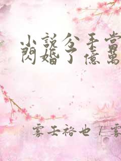 小说分手当天我闪婚了亿万富豪