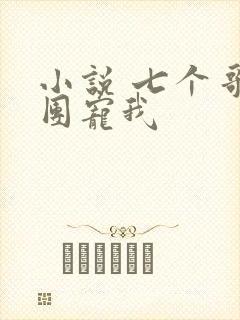 小说 七个哥哥团宠我