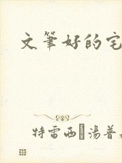 文笔好的宅斗文
